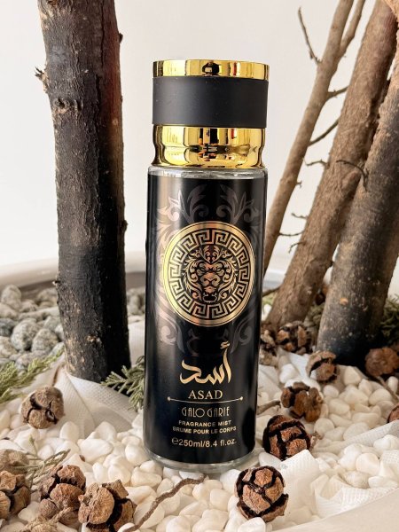 سبلاش اسد