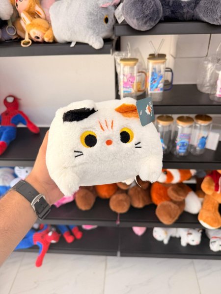 قطة بيضاء