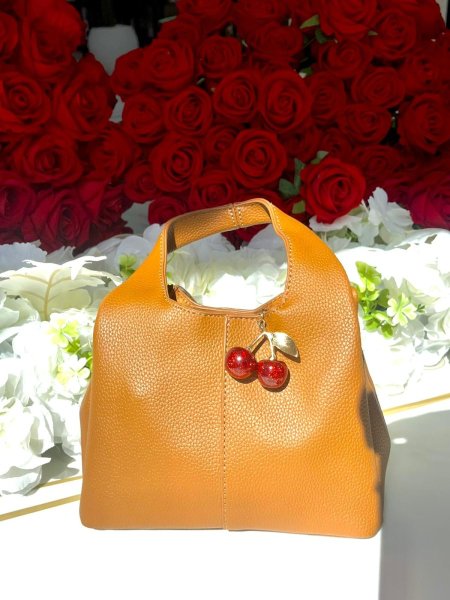 حقيبة كتف كورس