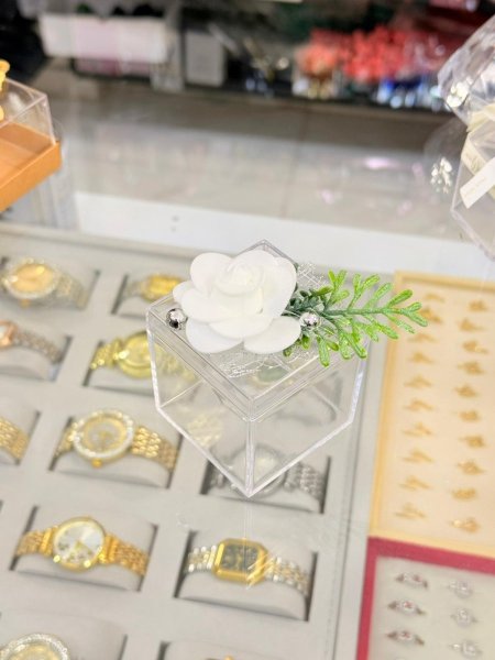 توزيعة بلاستيكية انيقة